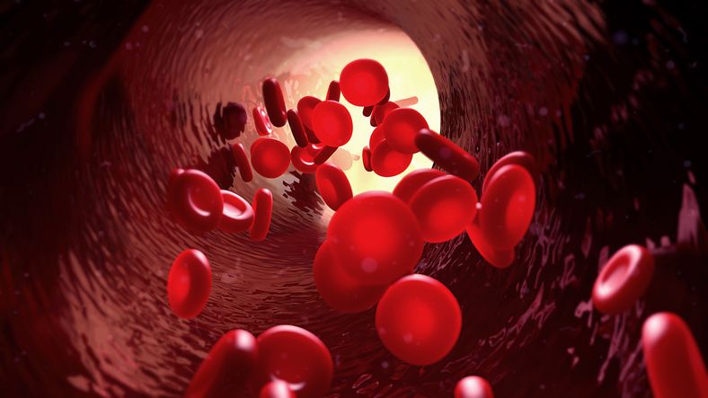 Analisi Del Sangue Quando I Valori Anomali E Alterati Dell Emocromo Possono Indicare Un Tumore Il Mondo Delle Donne