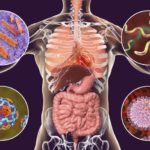 Human pathogenic microbes, respiratory and enteric pathogens