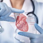 Doctor holding heart