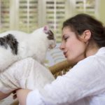 Conversation with cat