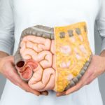 Woman holding model of human intestines in front of body