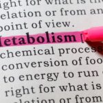 definition of metabolism