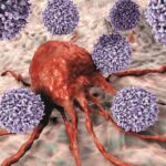 T-lymphocytes attacking cancer cell