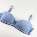 Lady’s Blue Bra Isolated