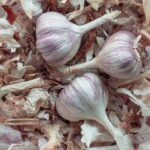 Few garlic bulbs on peeling pile. Close-up image of summer or autumn harvest. Concept of organic dieting food or healthy nutrition. Natural background of agricultural and medical content