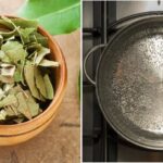 iStock-512905460 bay-leaf-on-a-table-selective-focus-picture-id1248403157