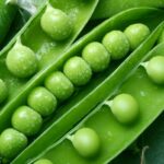 green pea