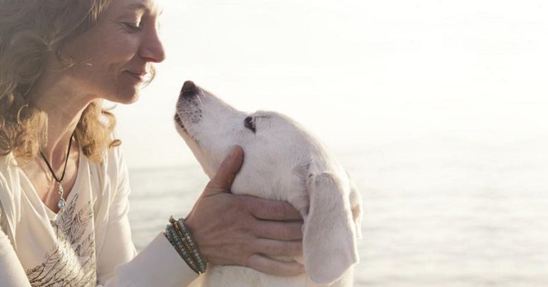 Le persone che parlano con i loro animali domestici hanno una qualità eccezionale